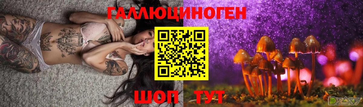 Галлюциногенные грибы MAGIC MUSHROOMS  Вход с VPN  Зеленогорск 