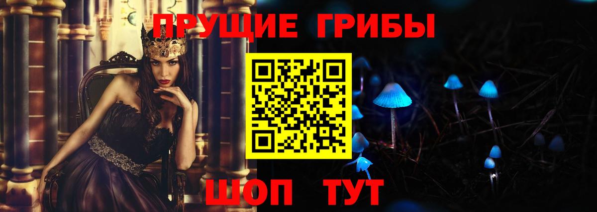 Галлюциногенные грибы прущие грибы Зеленогорск